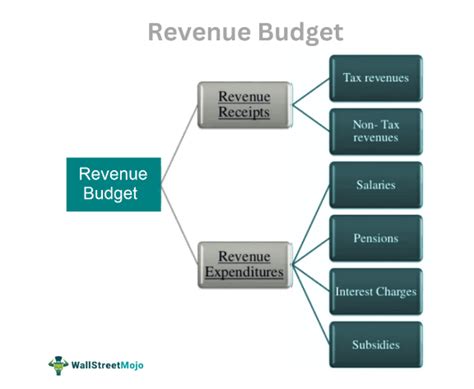 Amended Budget of Revenue and Expense SY 2020.